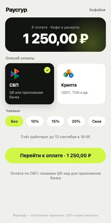 Страница оплаты Paycryp: СБП, криптовалюта и чаевые
